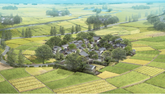 大美径山 追梦未来 奔跑吧中大金石